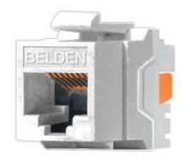 Conector Jack RJ45 CAT6  BELDEN AX101320 Blanco