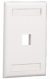 Placa PANDUIT NK1FWHY Color blanco