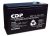 Batería Modelo CDP B-12/9 9000 mAh