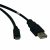 Cable USB 2.0 de Alta Velocidad TRIPP-LITE U050-006 Negro