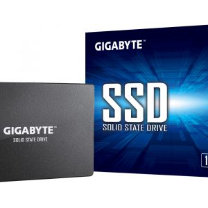SSD GIGABYTE GP-GSTFS31100TNTD 1 TB