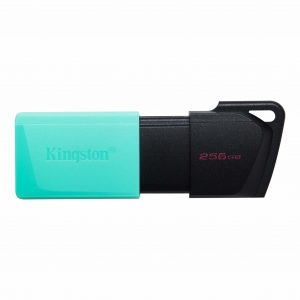 Memoria USB  Kingston Technology DATATRAVELER EXODIA M DTXM/256GB 256 GB
