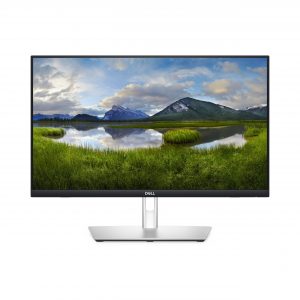 Monitor DELL P2424HT  210-BHSF Plata