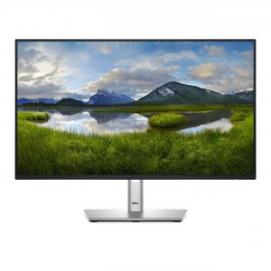 Monitores DELL P2425HE 210-BMKK Gris