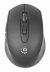Mouse MANHATTAN 190343 6 botones