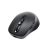 Mouse PERFECT CHOICE PC-045168 Negro