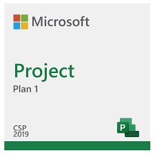 Project Plan 1 MICROSOFT CFQ7TTC0HDB1P1YM Project Plan 1