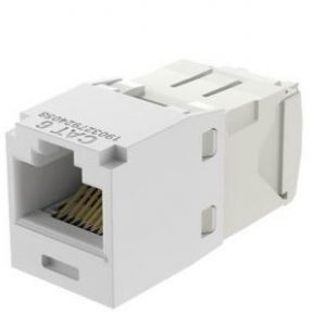 Jack PANDUIT CJ688TGWH Blanco