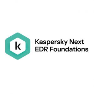 KASPERSKY KL4065ZAQFS 50-99 Licencias