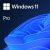 Windows 11 Profesional, Licencia OEM MICROSOFT FQC-10553 Windows
