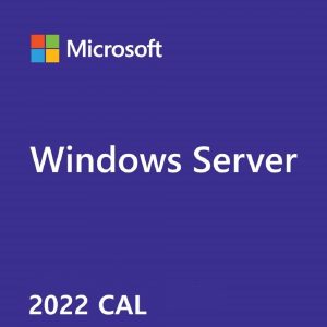 Windows Server CAL Español 2022 MICROSOFT R18-06458 Server CAL Español