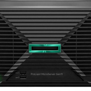 Servidores Hewlett Packard Enterprise HPE Microserver Gen11 P74441-DM5 1 TB